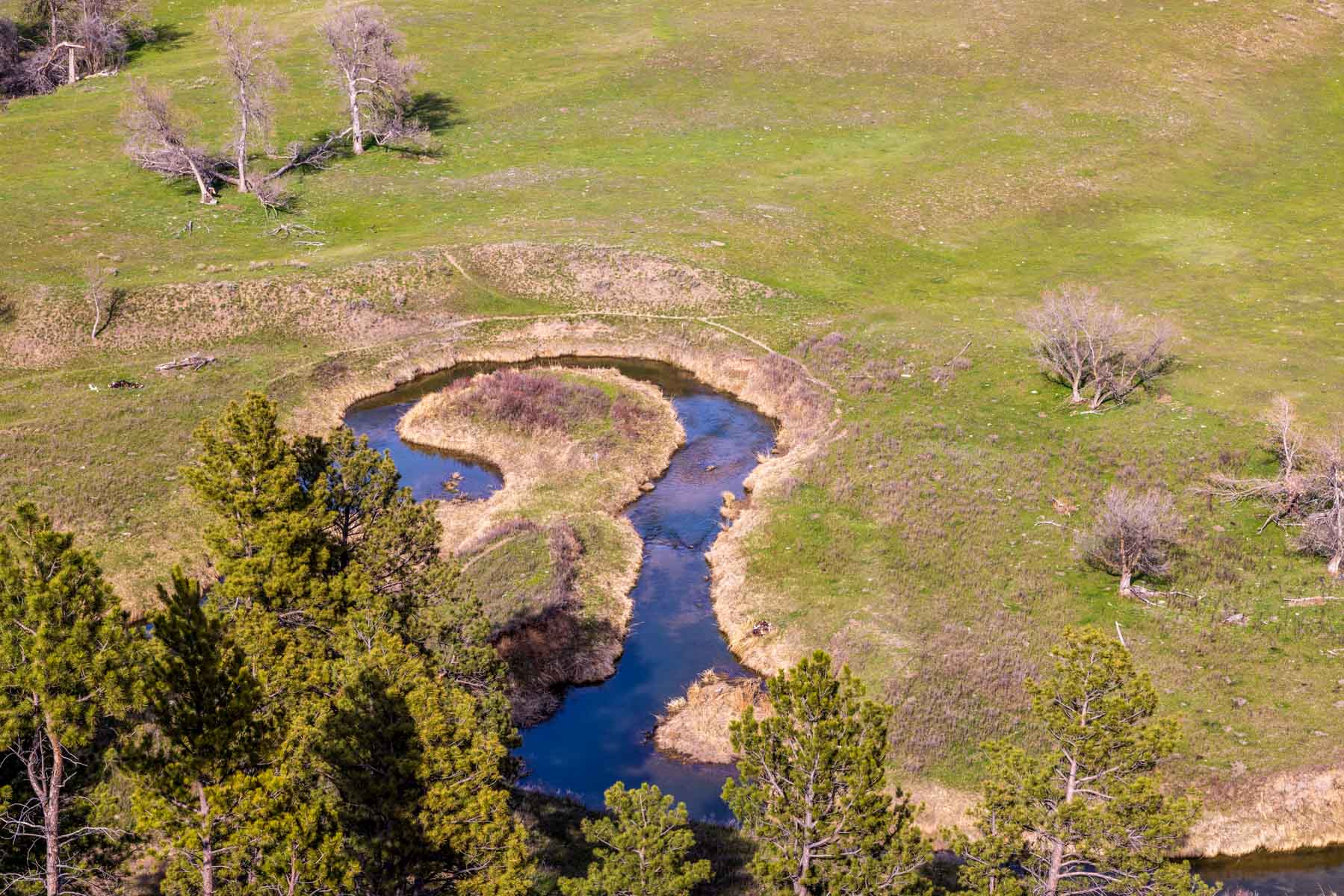 SY Ranch property picture 39 of 42