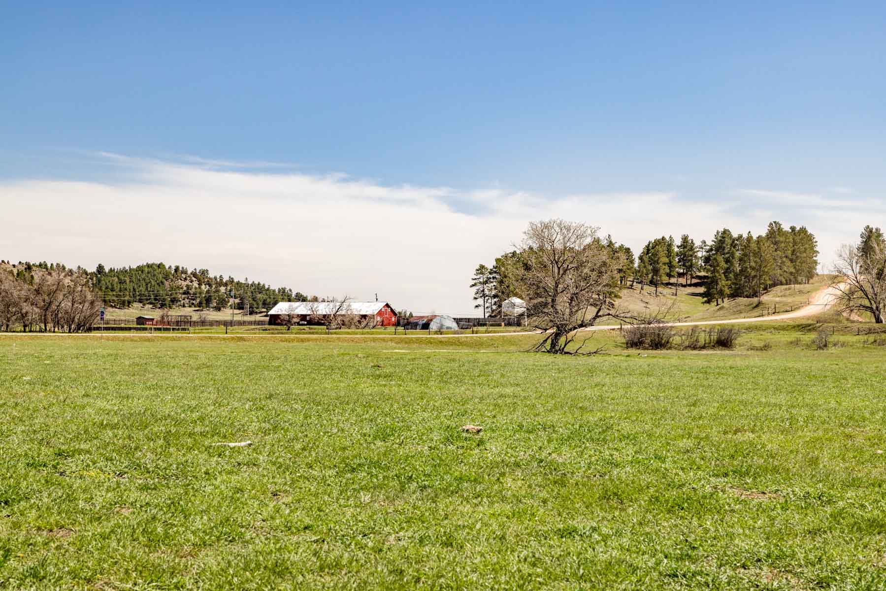 SY Ranch property picture 26 of 42