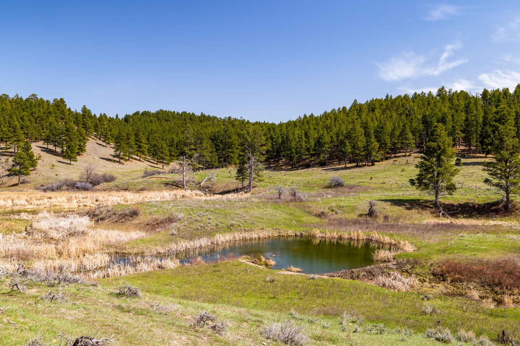 SY Ranch property picture 8 of 42