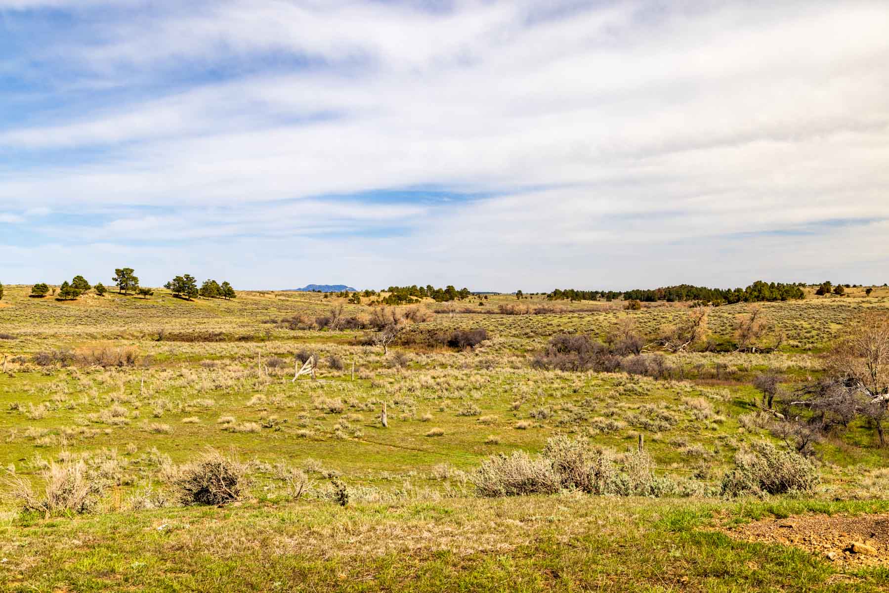 SY Ranch property picture 35 of 42