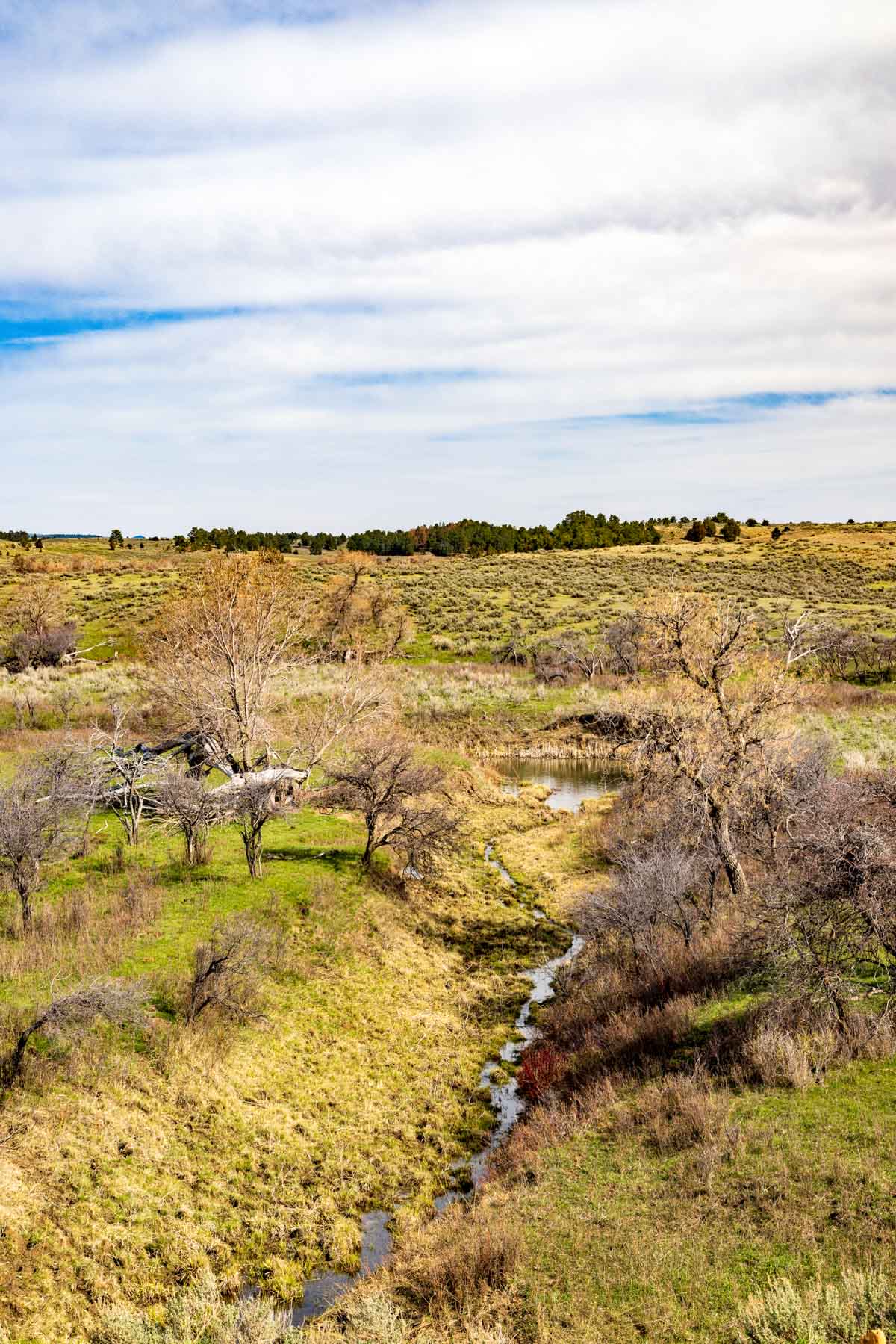 SY Ranch property picture 36 of 42