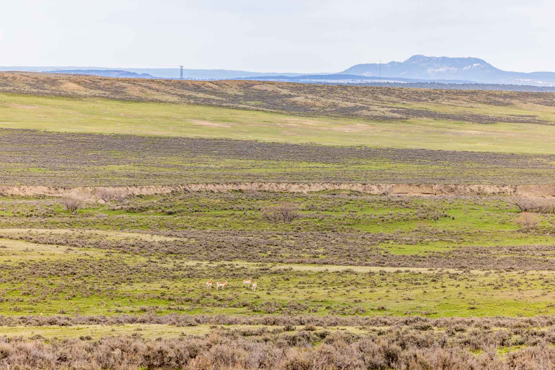 SY Ranch property picture 41 of 42