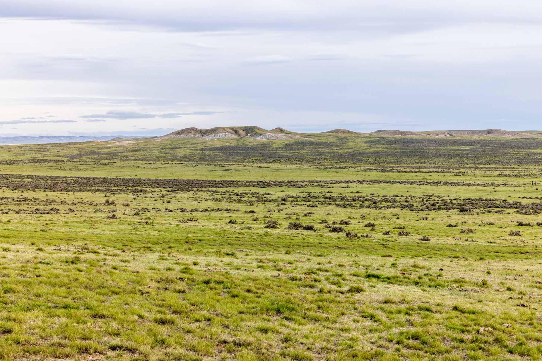 SY Ranch property picture 14 of 42