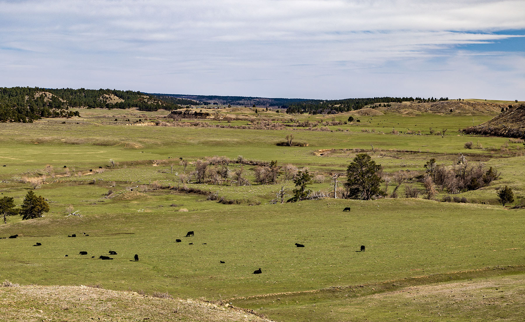 SY Ranch property picture 3 of 42