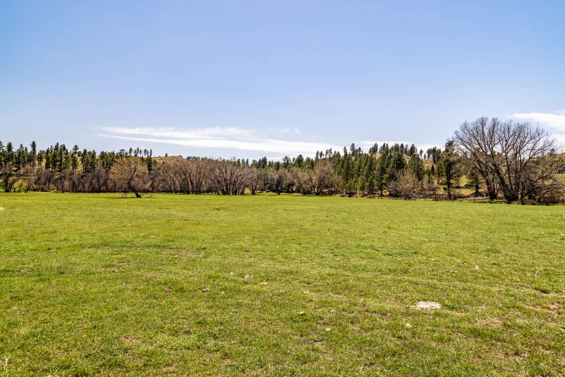 SY Ranch property picture 25 of 42