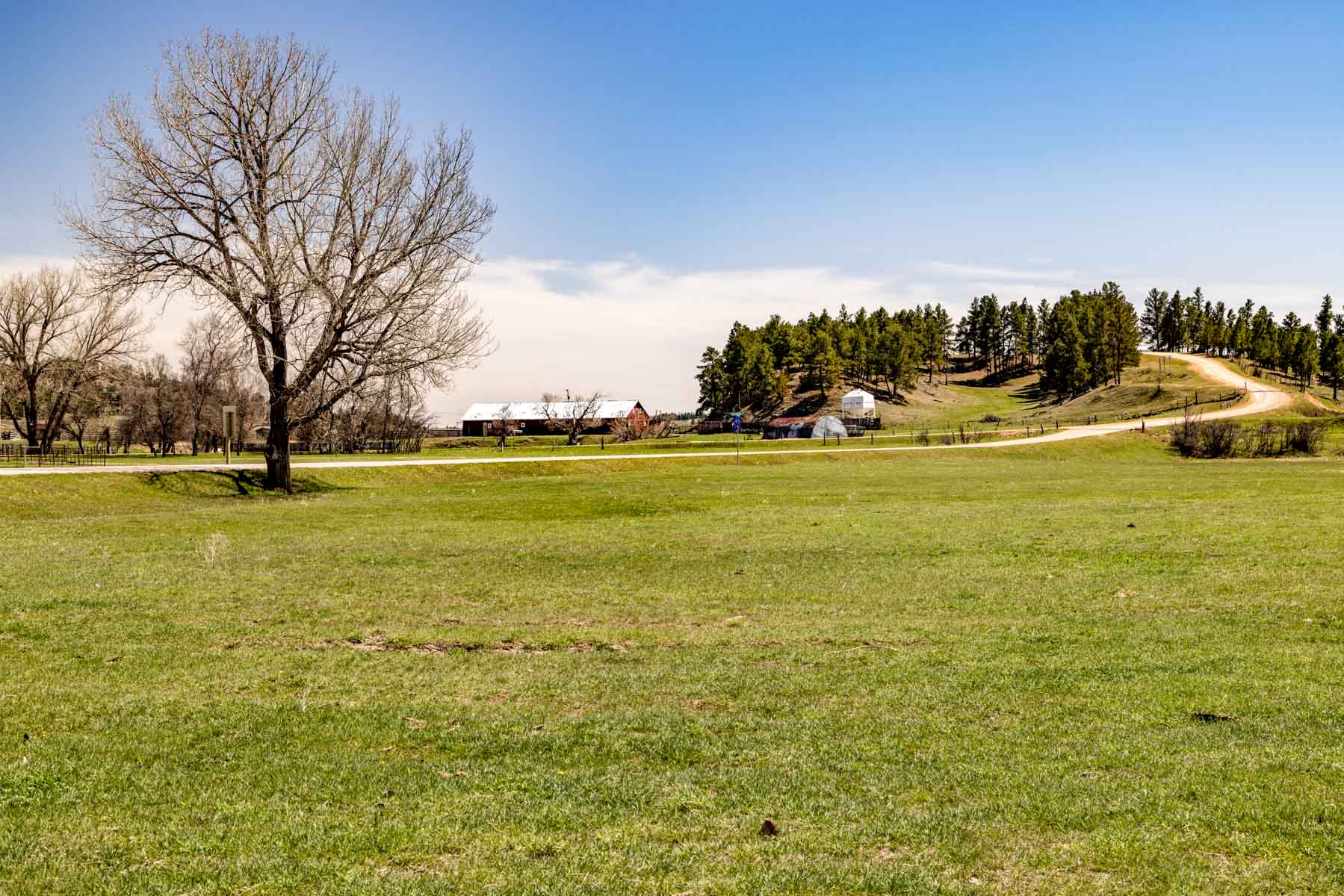 SY Ranch property picture 4 of 42