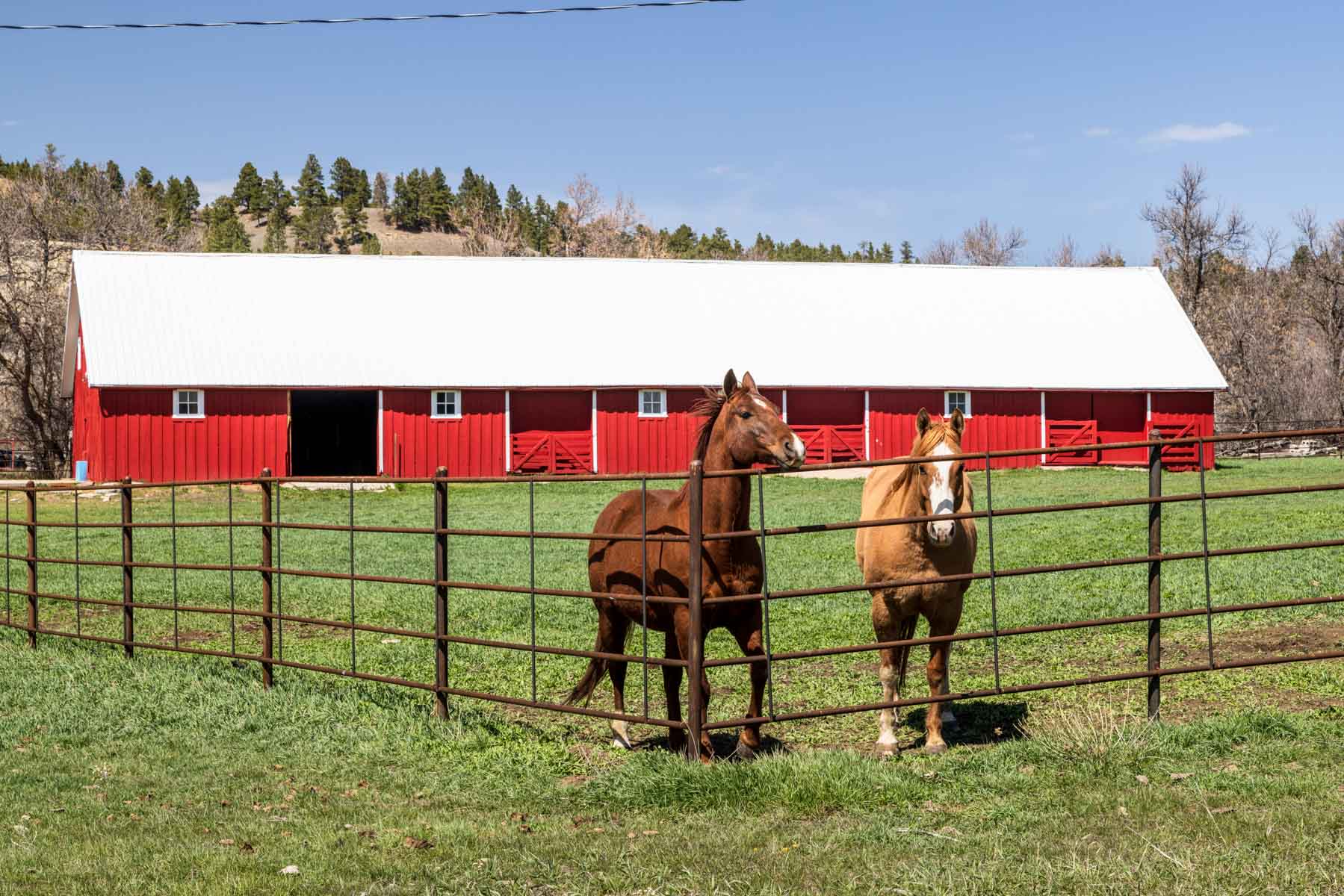 SY Ranch property picture 20 of 42