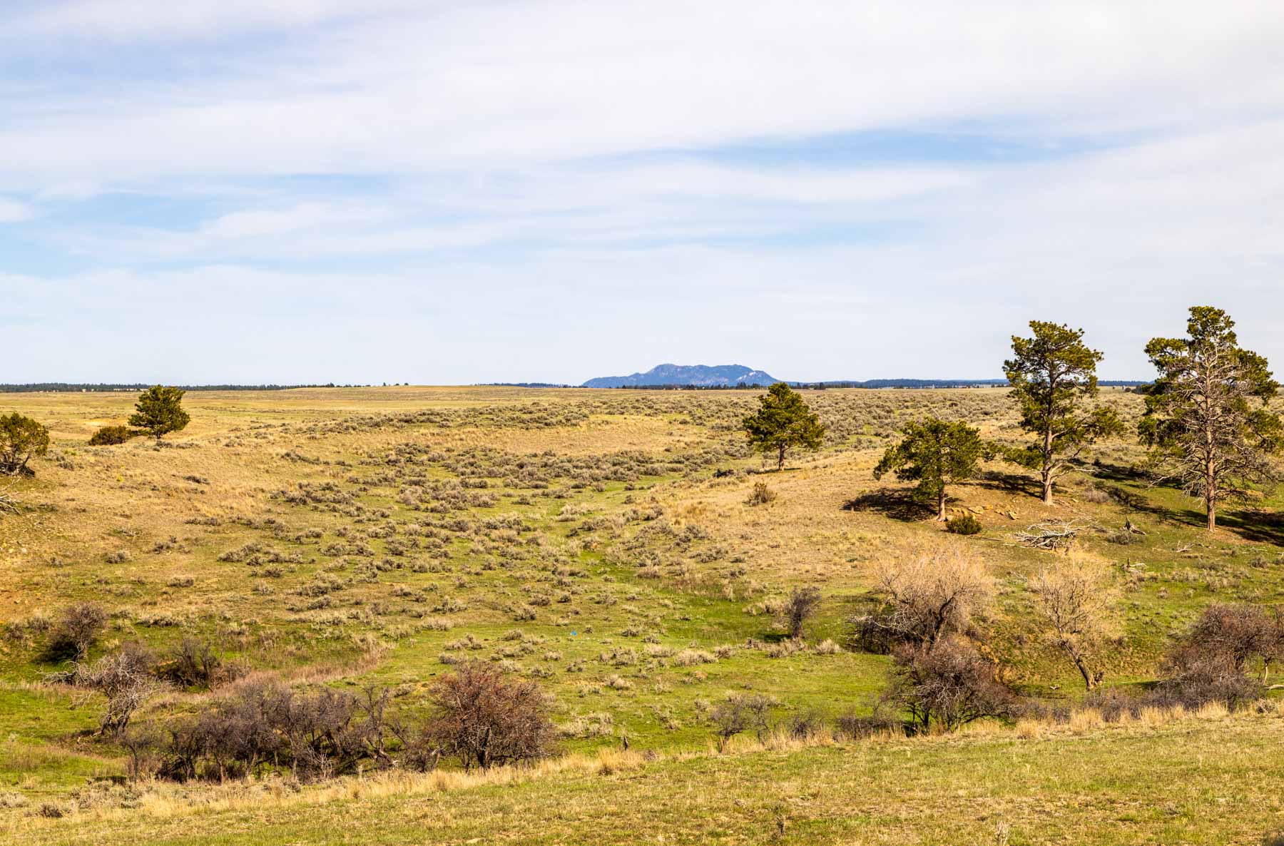 SY Ranch property picture 10 of 42