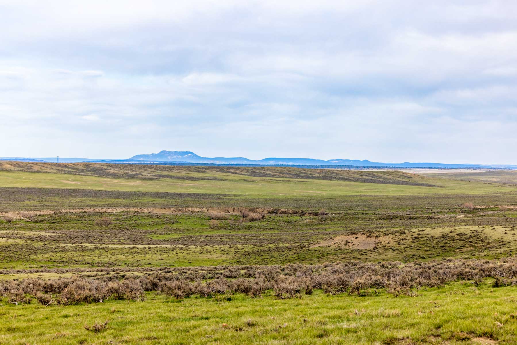 SY Ranch property picture 40 of 42