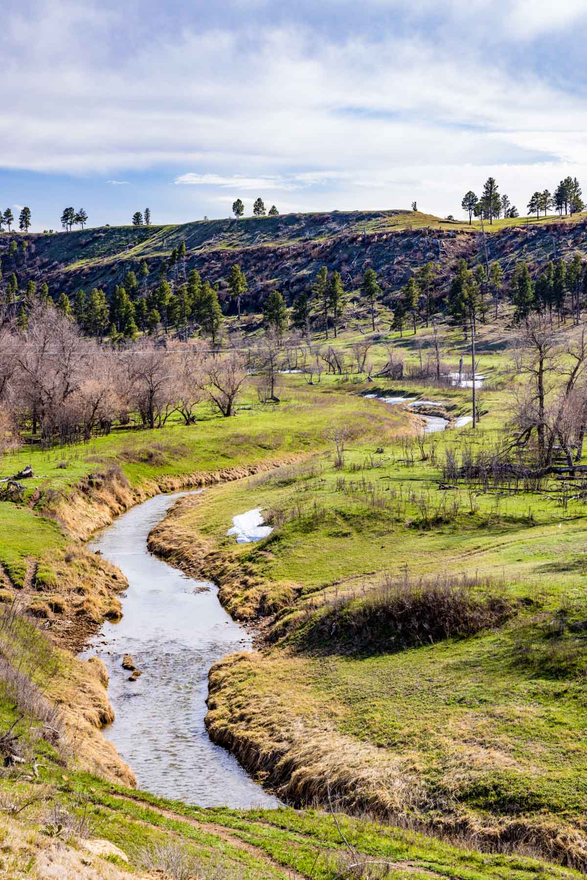 SY Ranch property picture 11 of 42