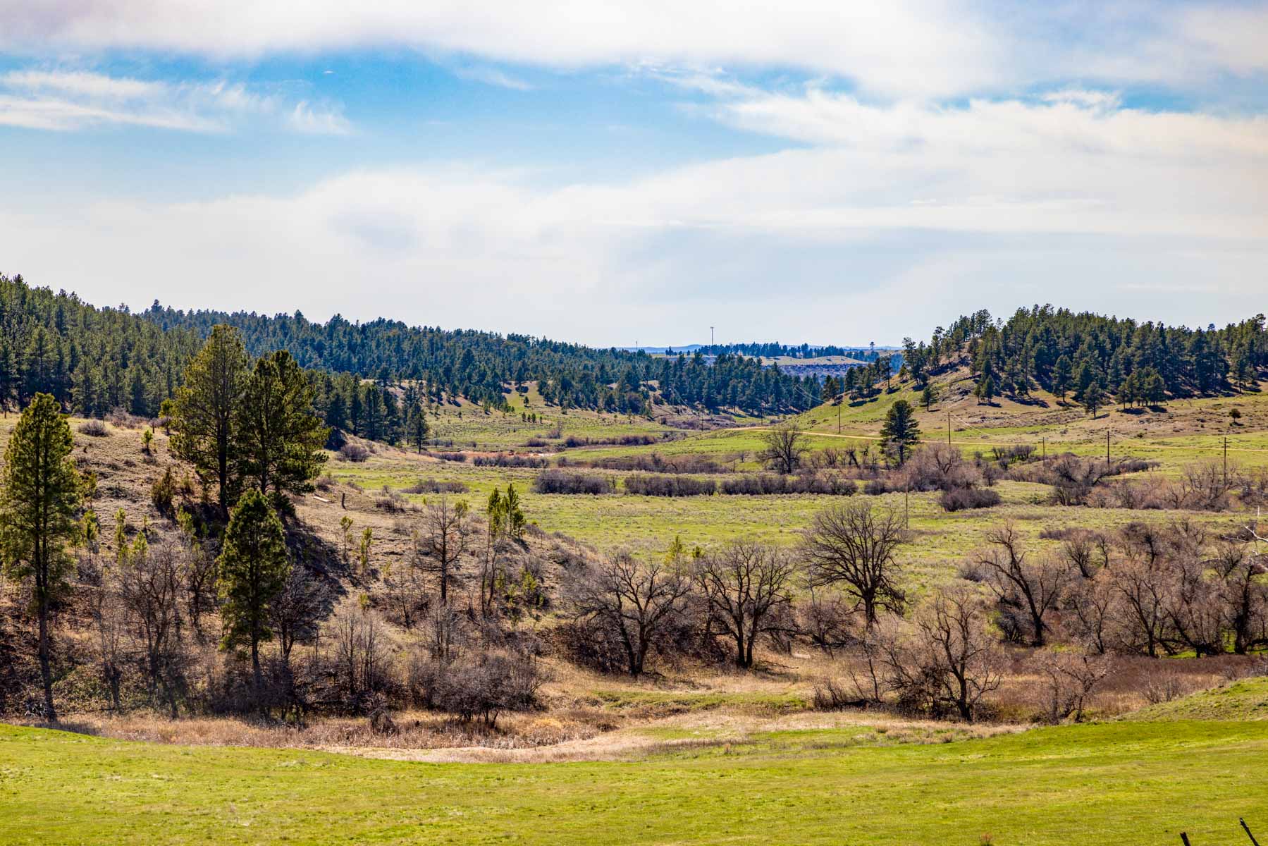 SY Ranch property picture 5 of 42