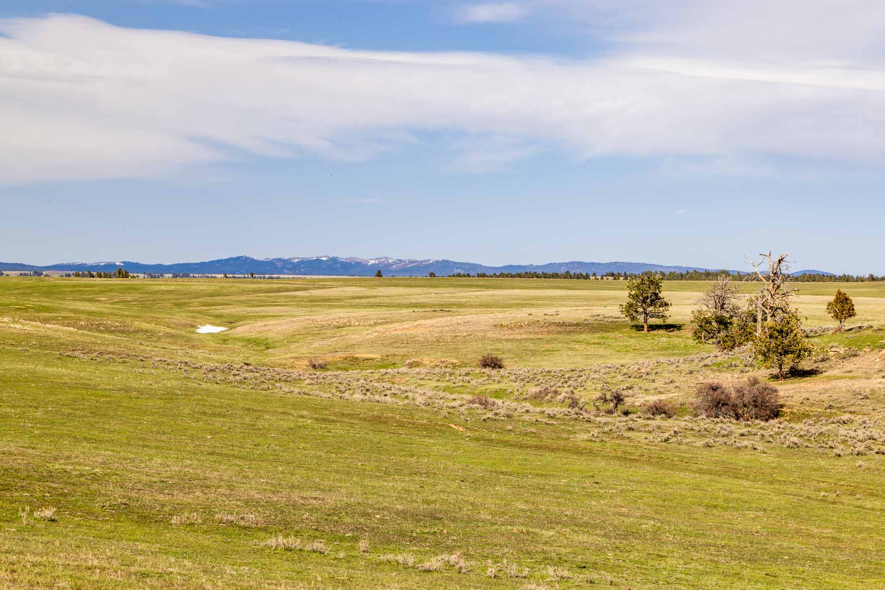 SY Ranch property picture 34 of 42