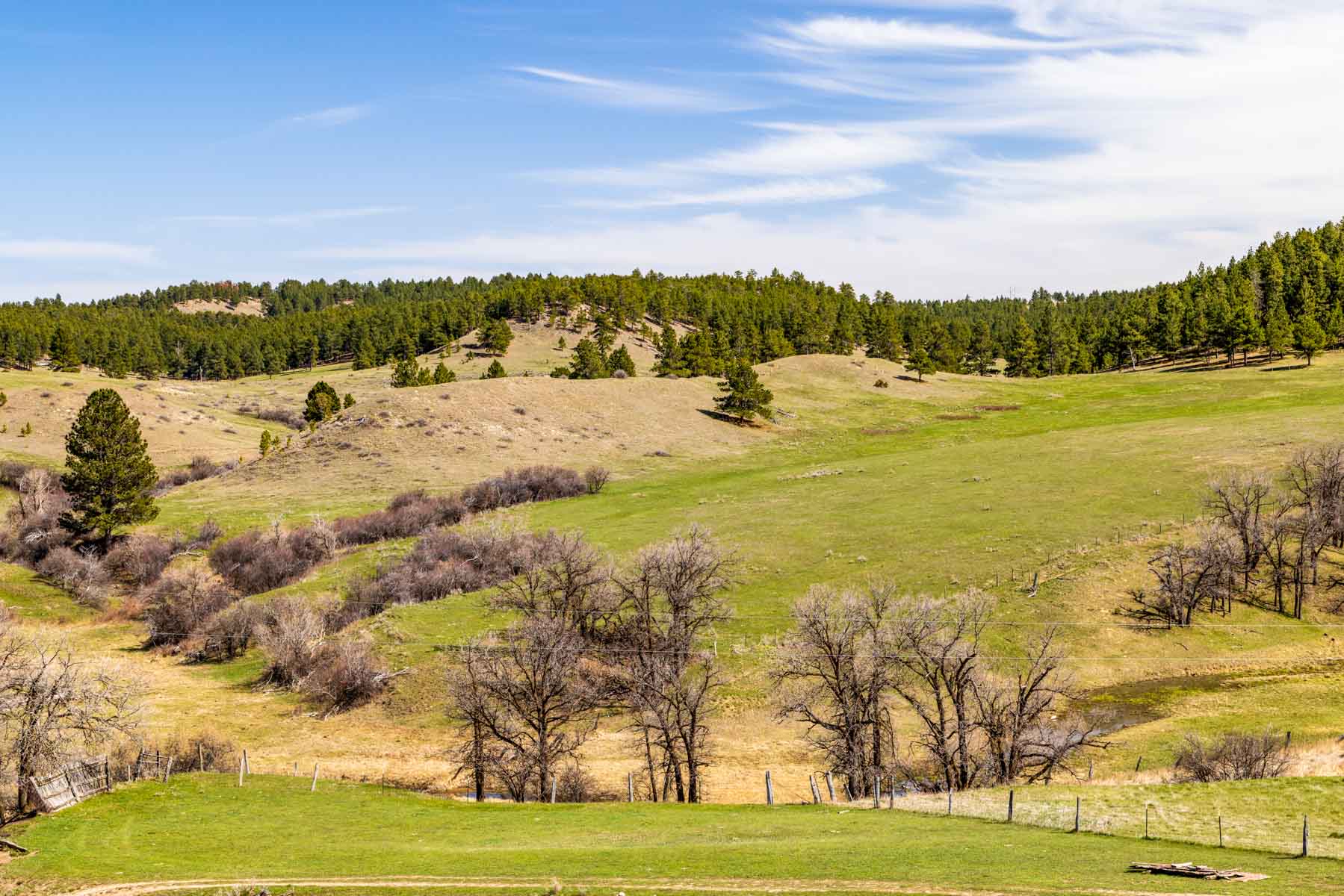 SY Ranch property picture 9 of 42