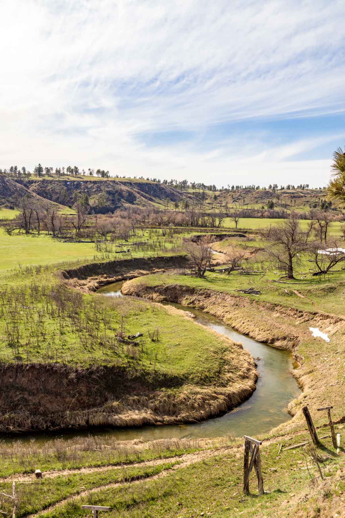 SY Ranch property picture 37 of 42