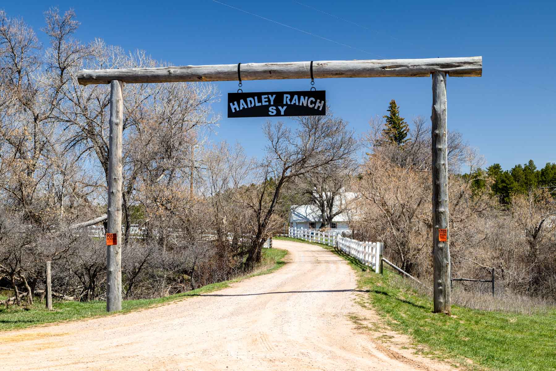 SY Ranch property picture 2 of 42