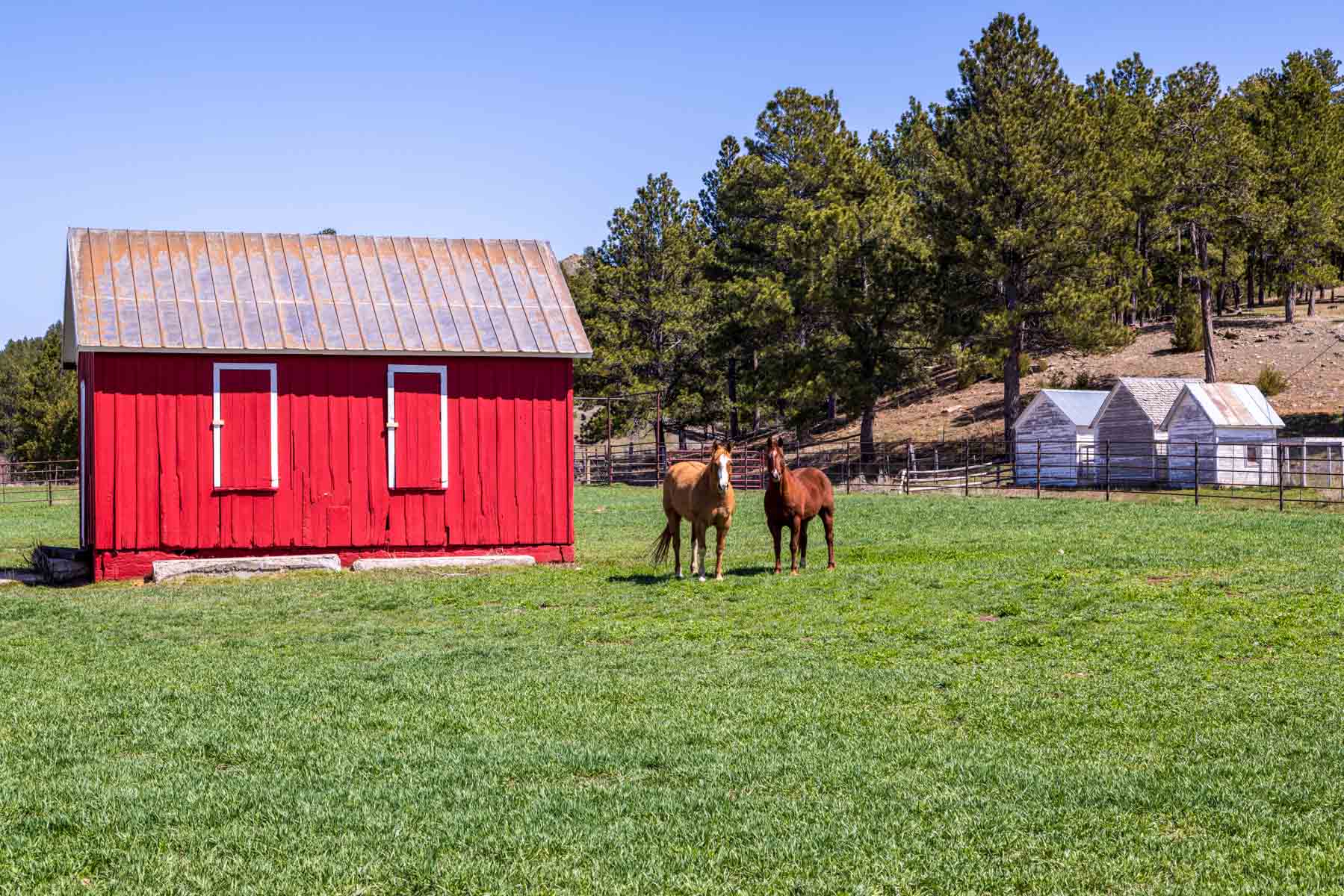 SY Ranch property picture 27 of 42