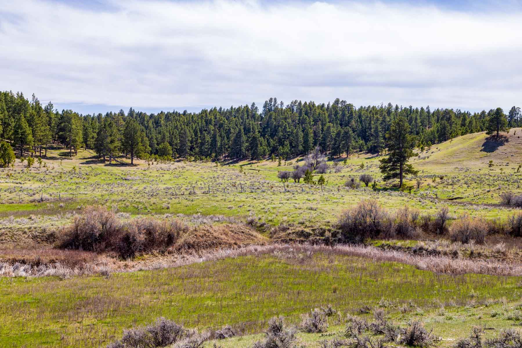 SY Ranch property picture 31 of 42