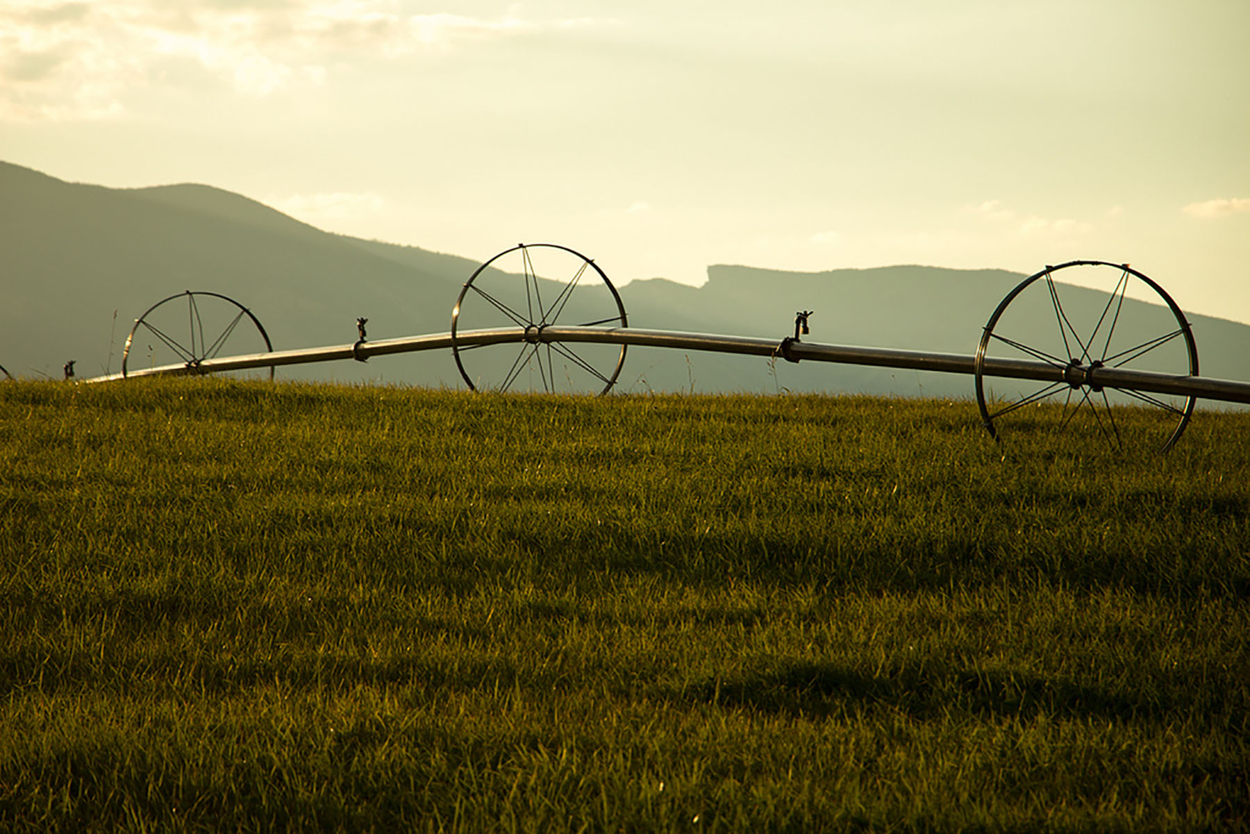 Baker Springs Ranch property picture 70 of 74