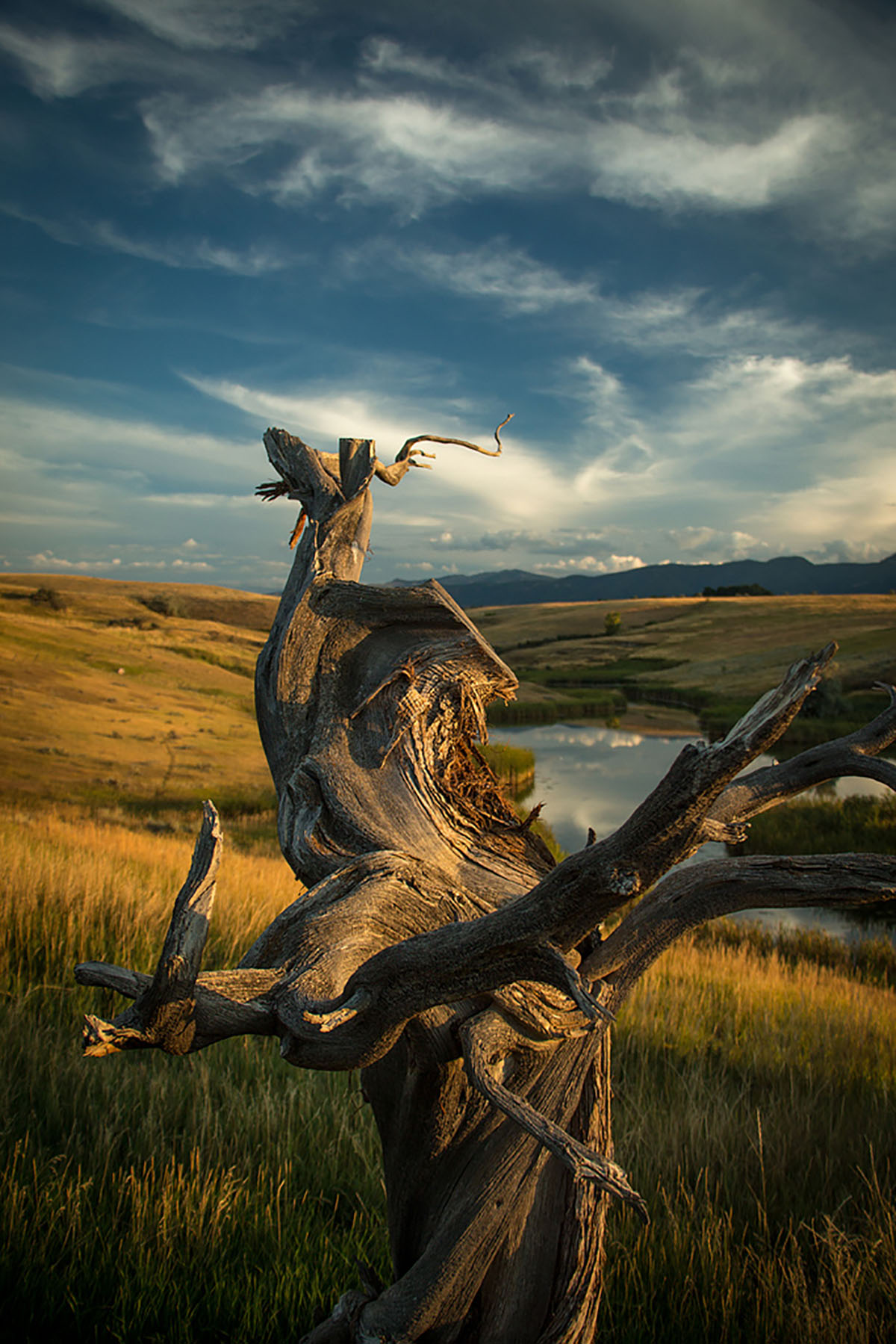 Baker Springs Ranch property picture 67 of 74