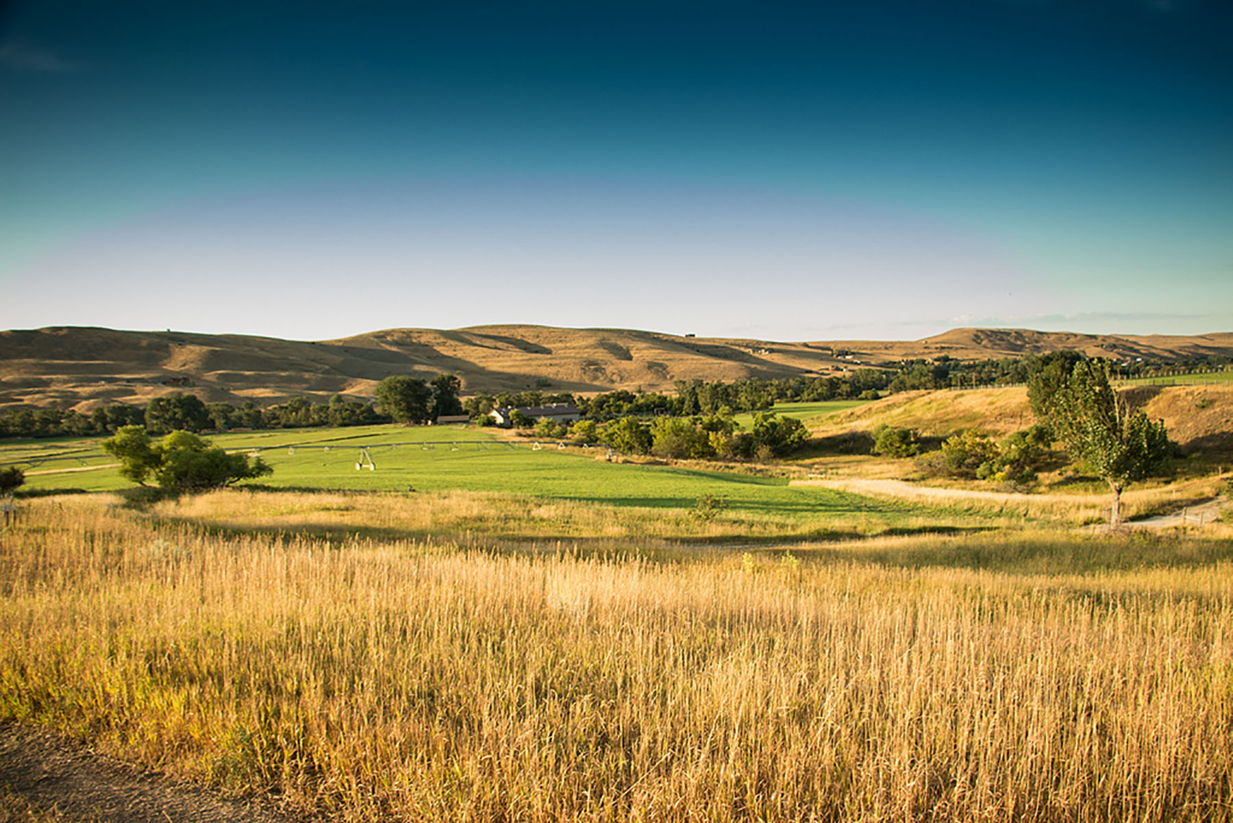 Baker Springs Ranch property picture 59 of 74