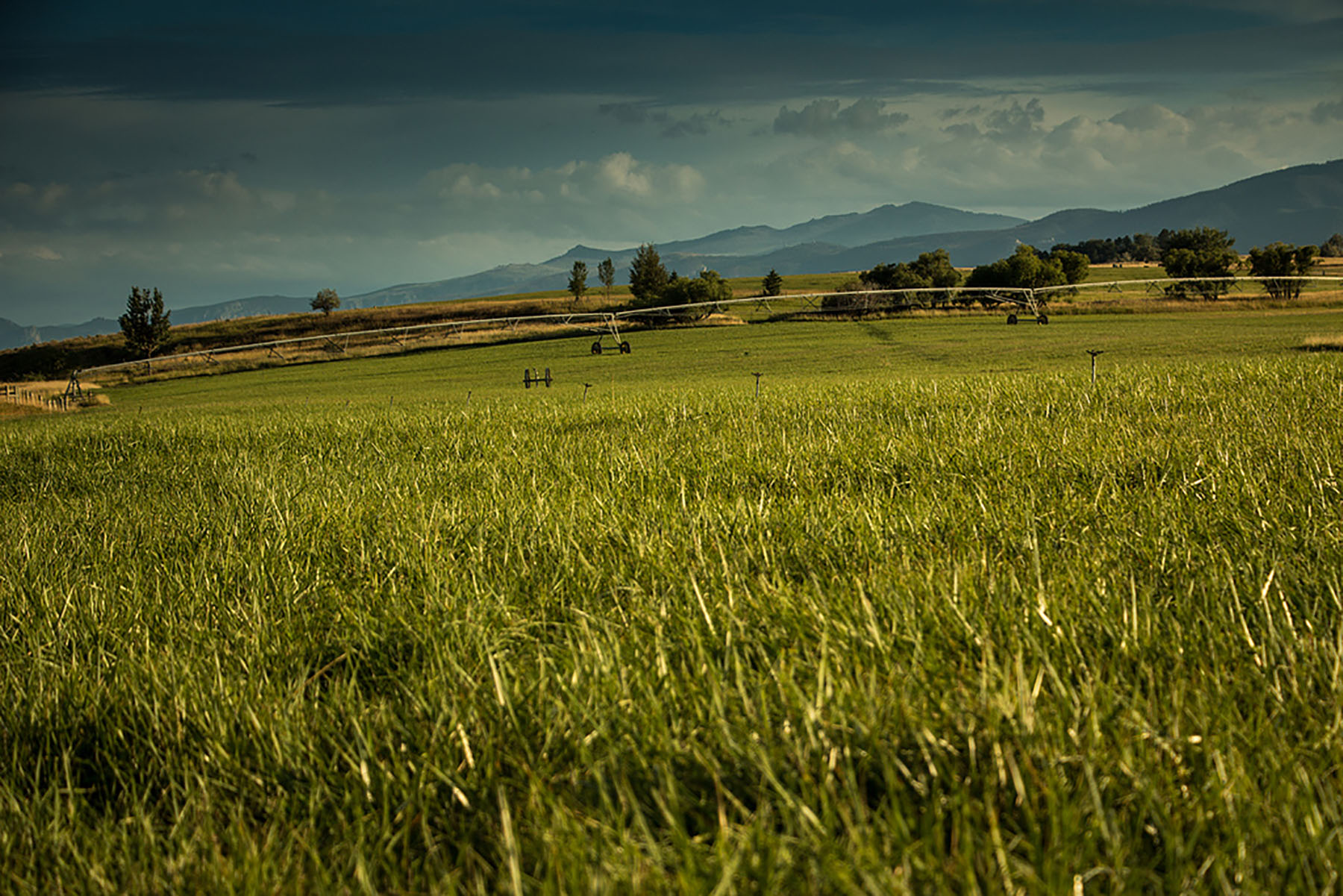 Baker Springs Ranch property picture 73 of 74