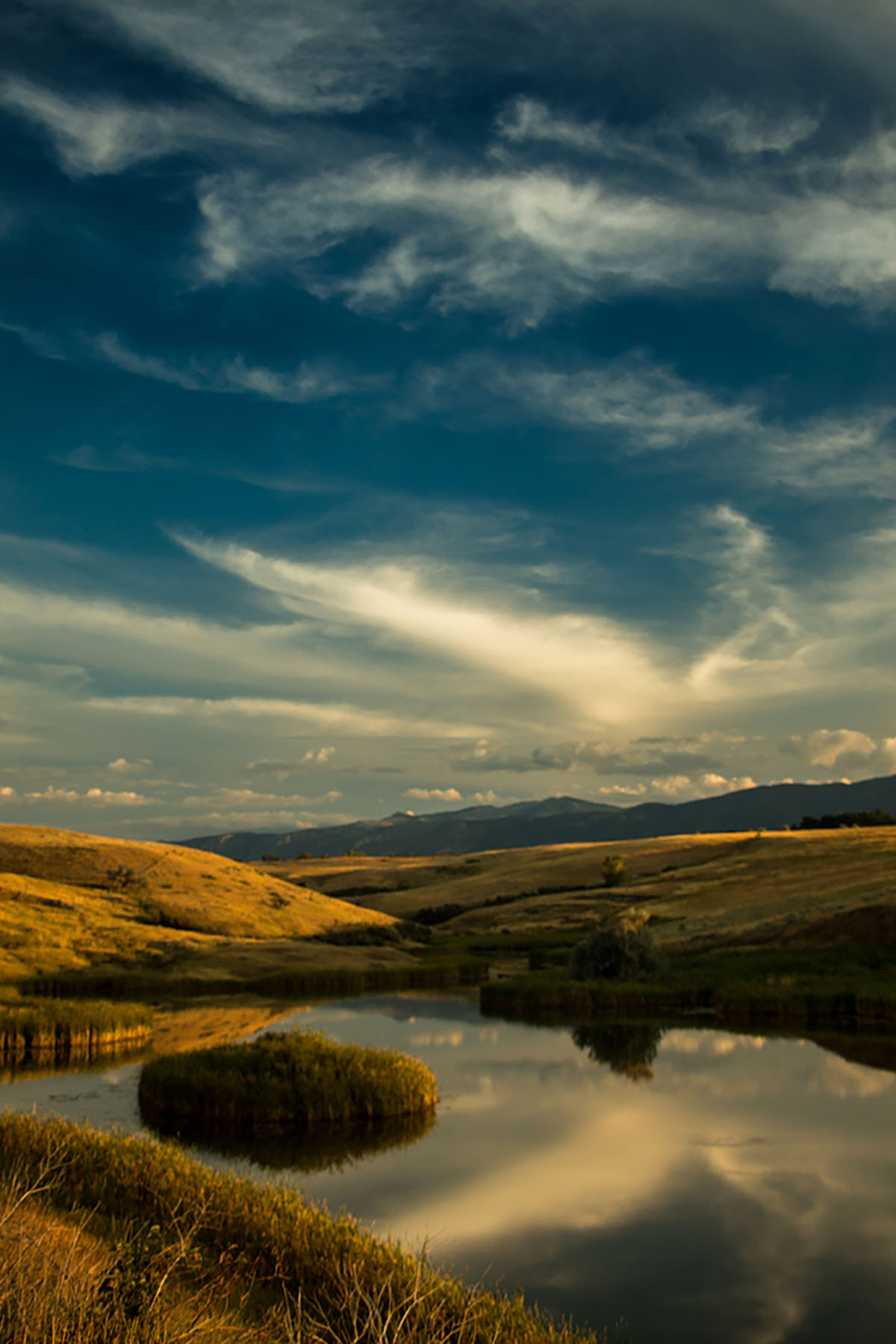 Baker Springs Ranch property picture 66 of 74