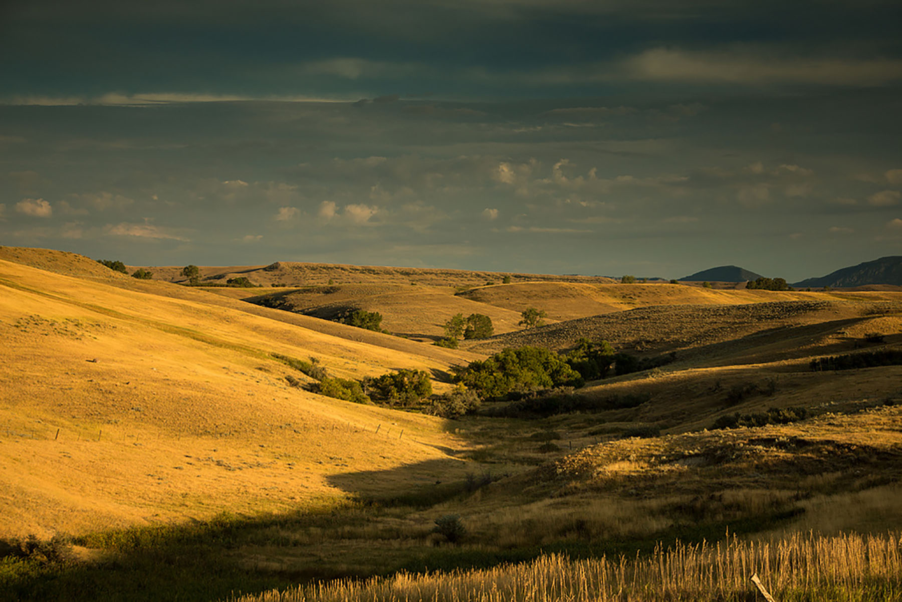 Baker Springs Ranch property picture 60 of 74