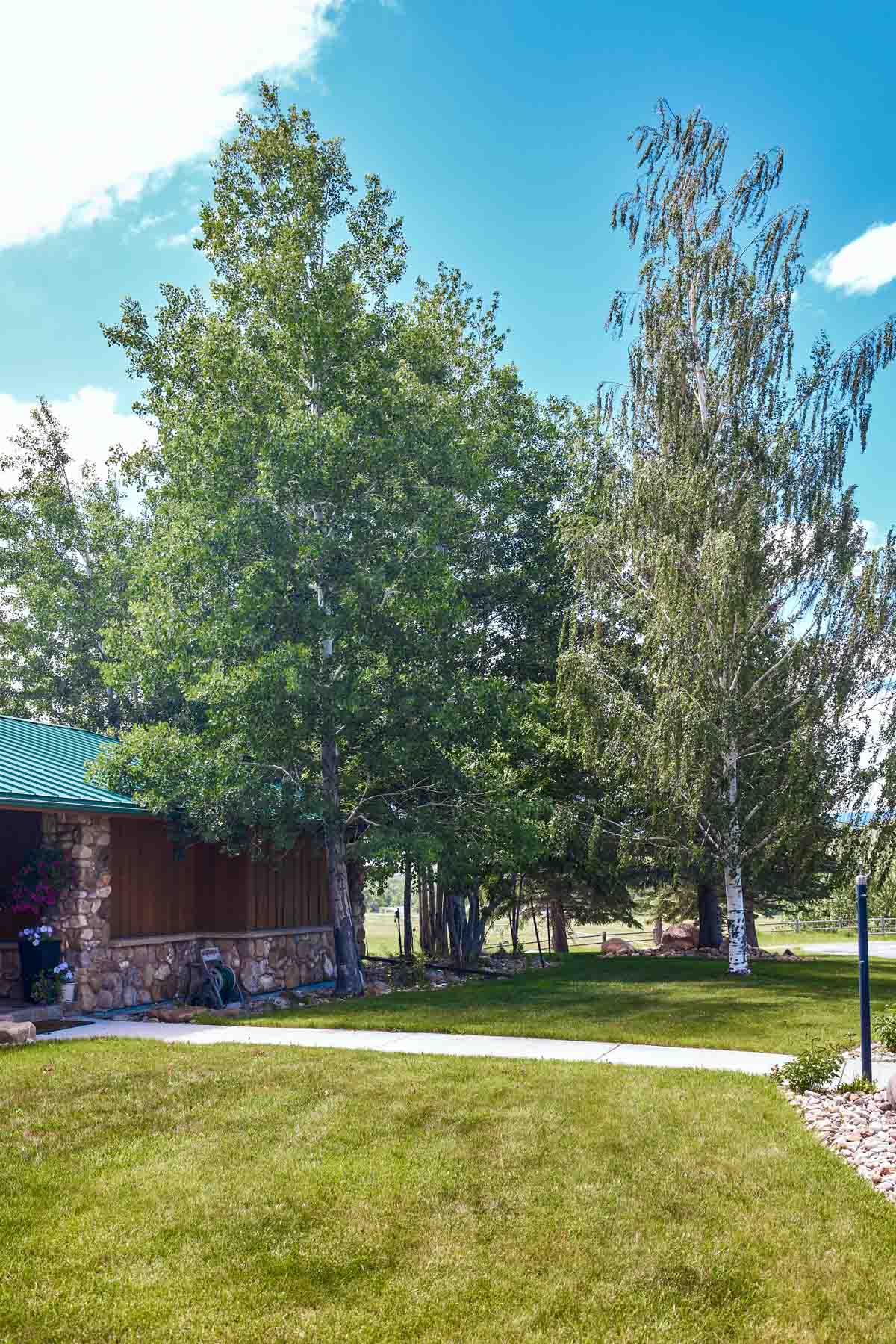 Baker Springs Ranch property picture 43 of 74