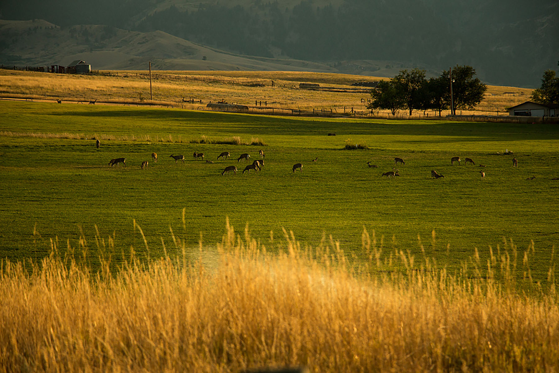 Baker Springs Ranch property picture 62 of 74