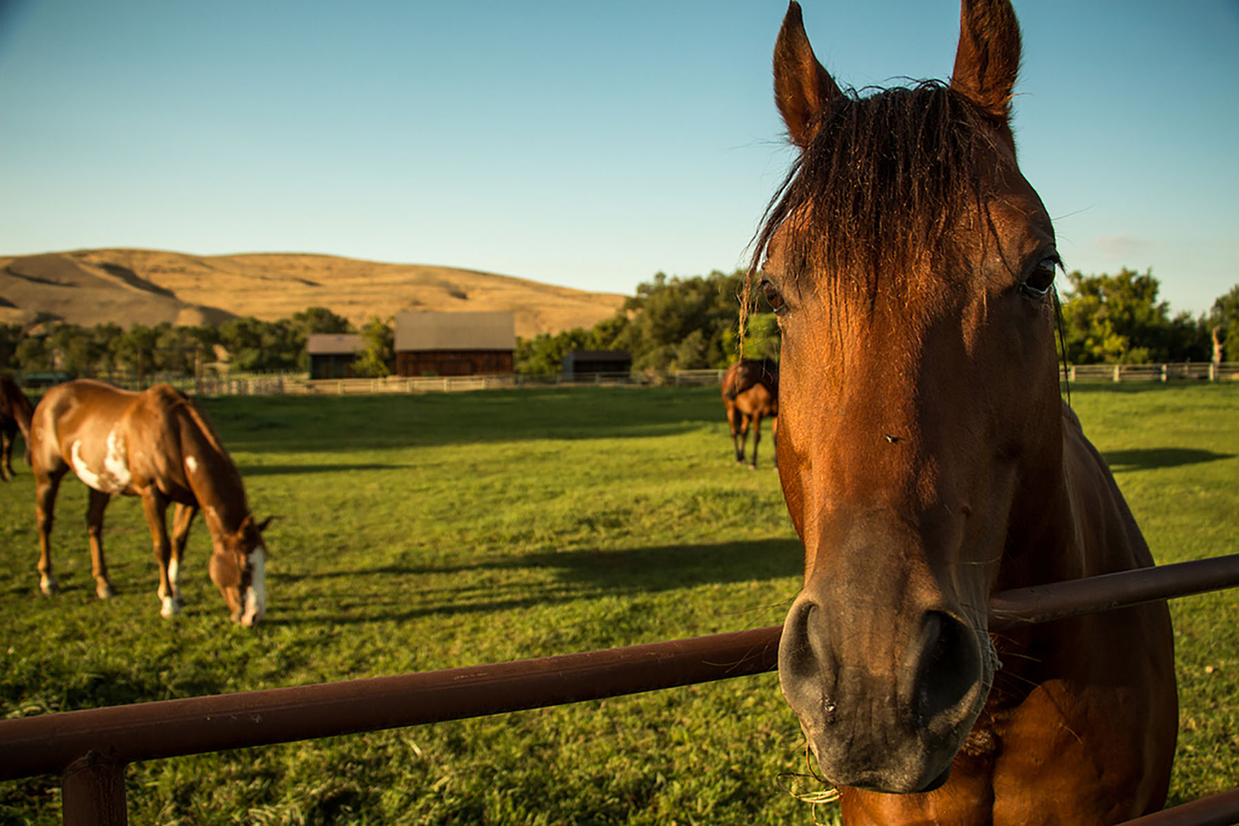 Baker Springs Ranch property picture 63 of 74