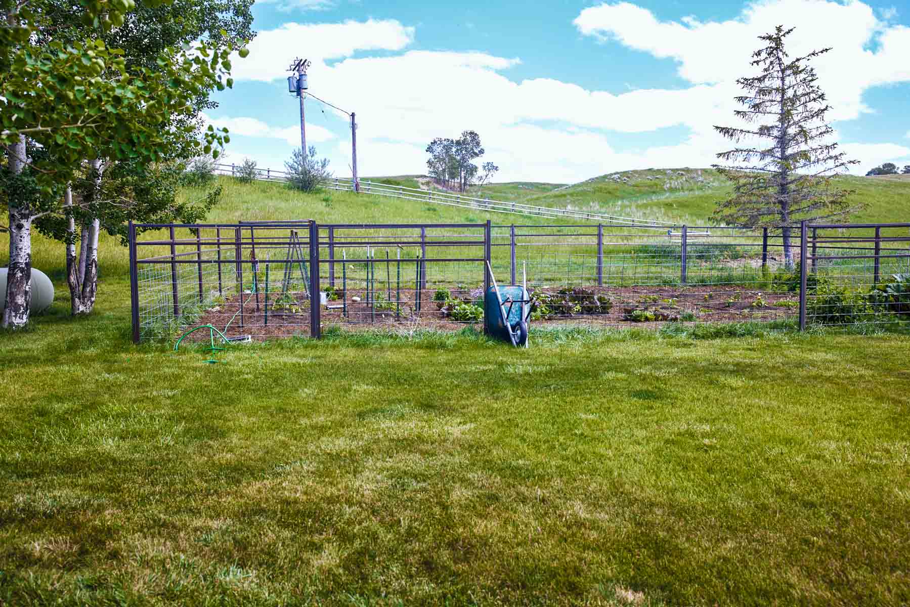 Baker Springs Ranch property picture 46 of 74