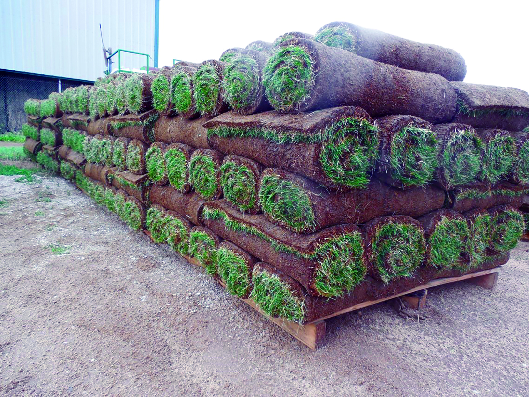 Wolf Creek Sod Farm property picture 3 of 5