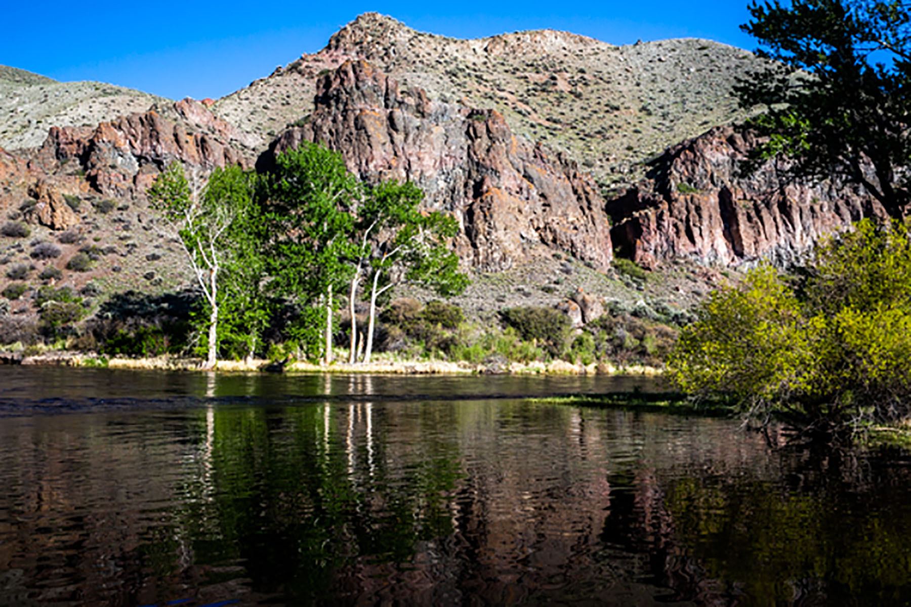 Big Hole River Retreat property picture 25 of 29