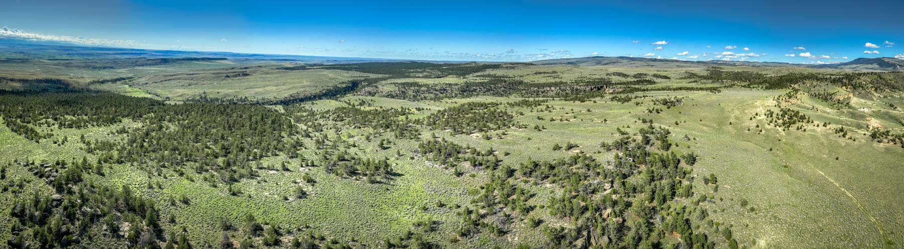 Cherry Springs Ranch property picture 9 of 59