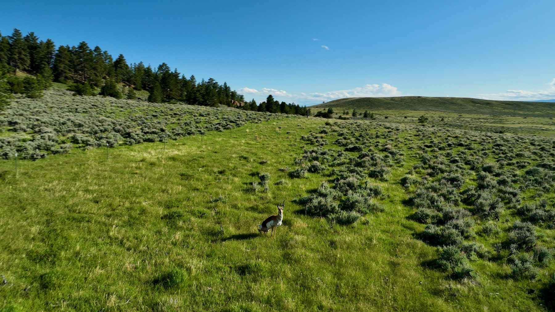 Cherry Springs Ranch property picture 57 of 59