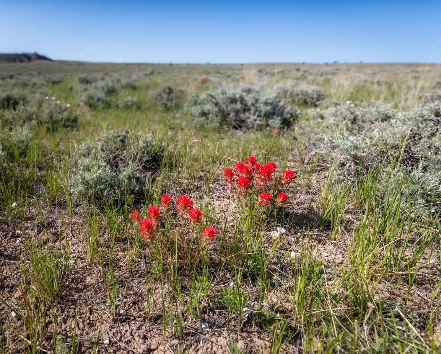 Cherry Springs Ranch property picture 52 of 59