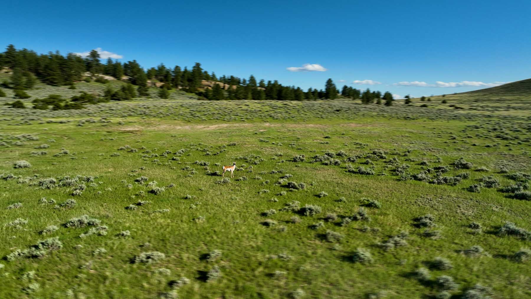 Cherry Springs Ranch property picture 56 of 59