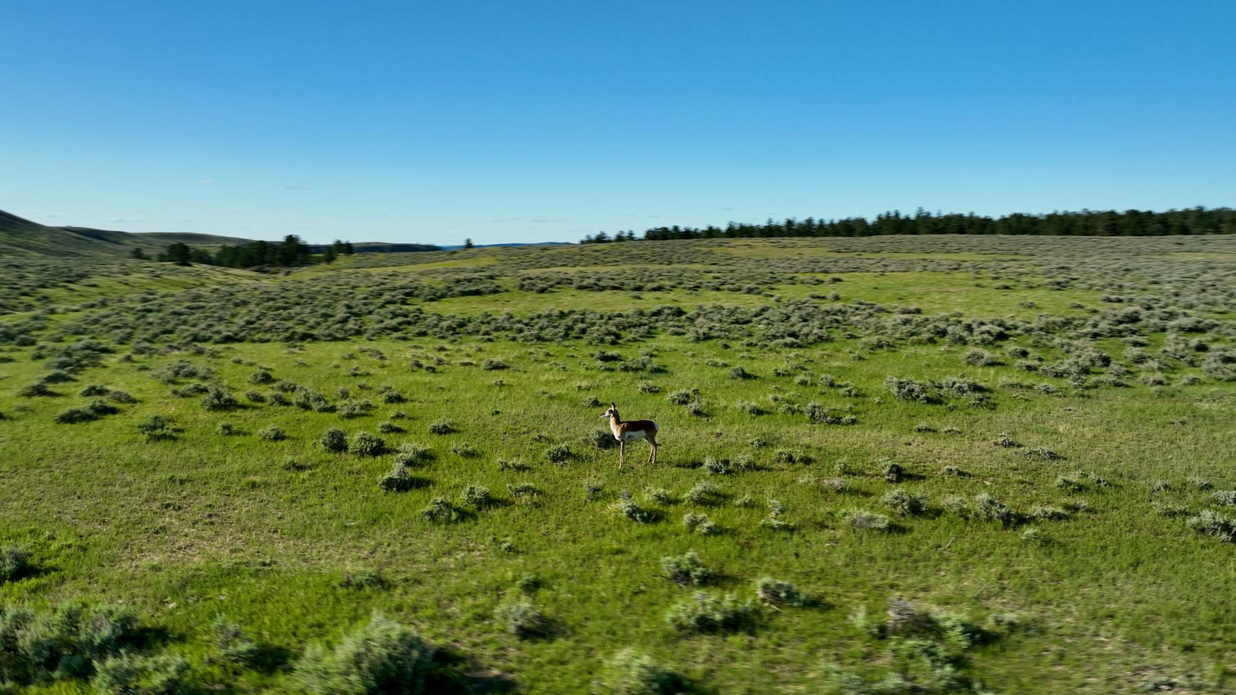 Cherry Springs Ranch property picture 53 of 59