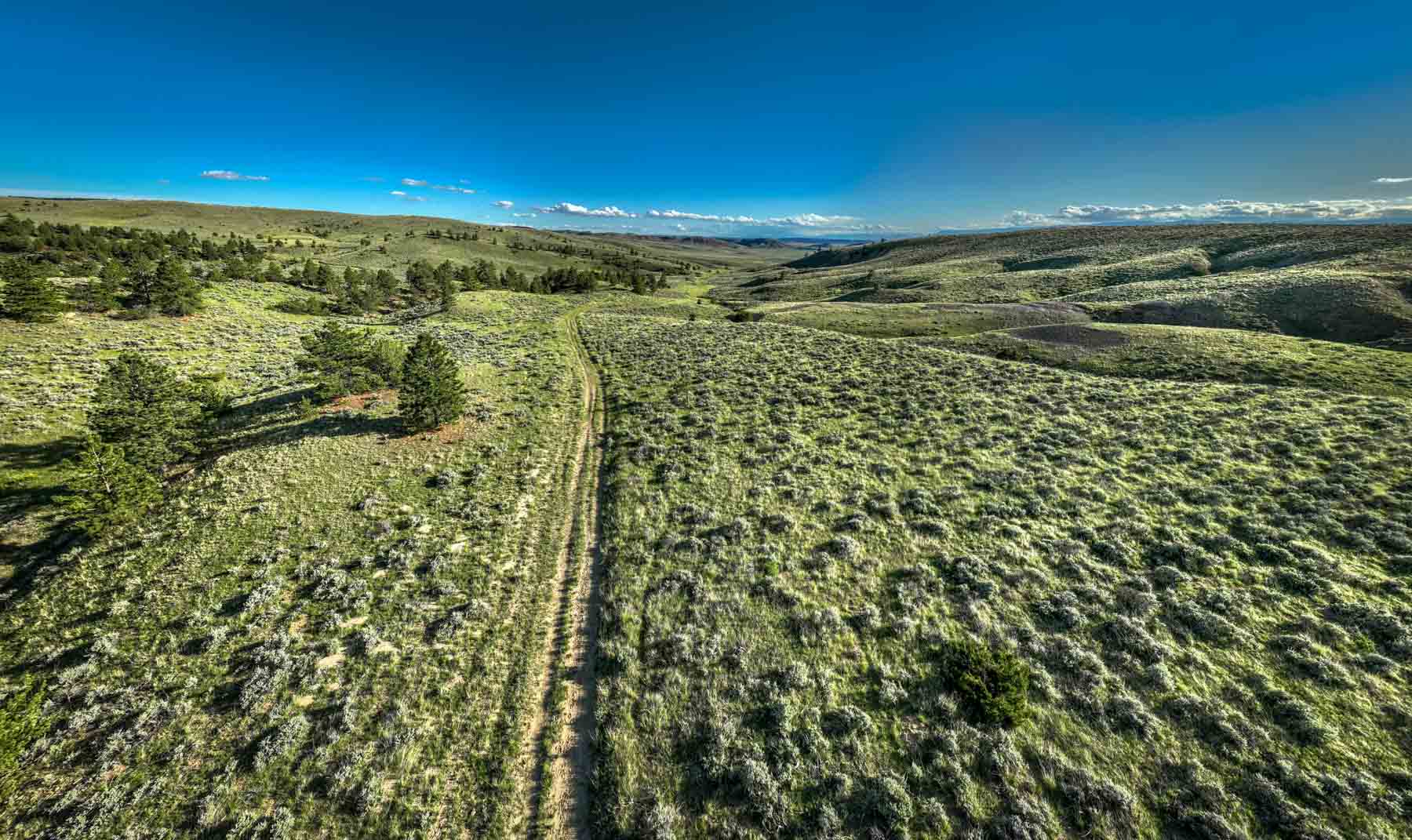 Cherry Springs Ranch property picture 11 of 59