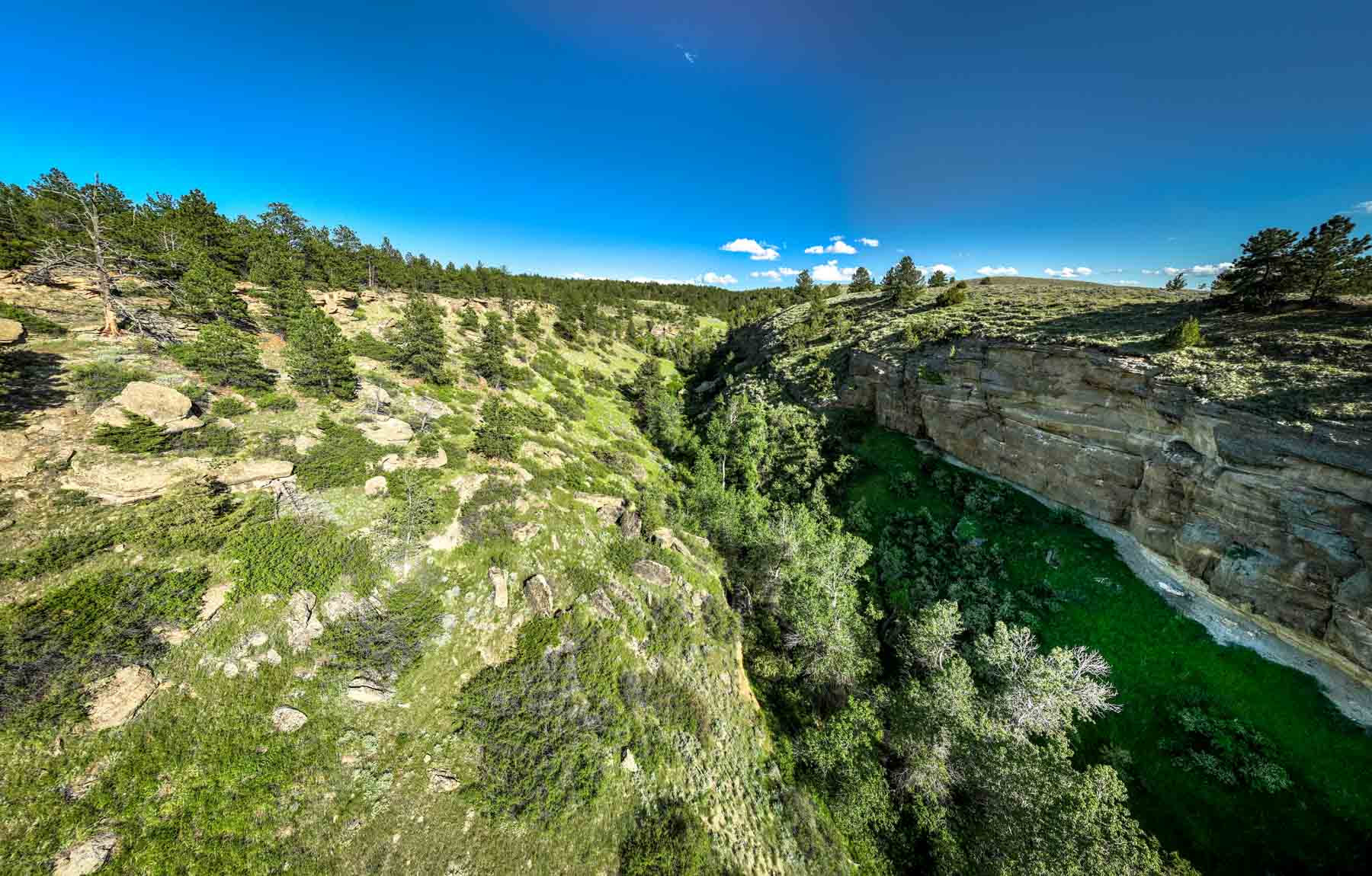 Cherry Springs Ranch property picture 10 of 59