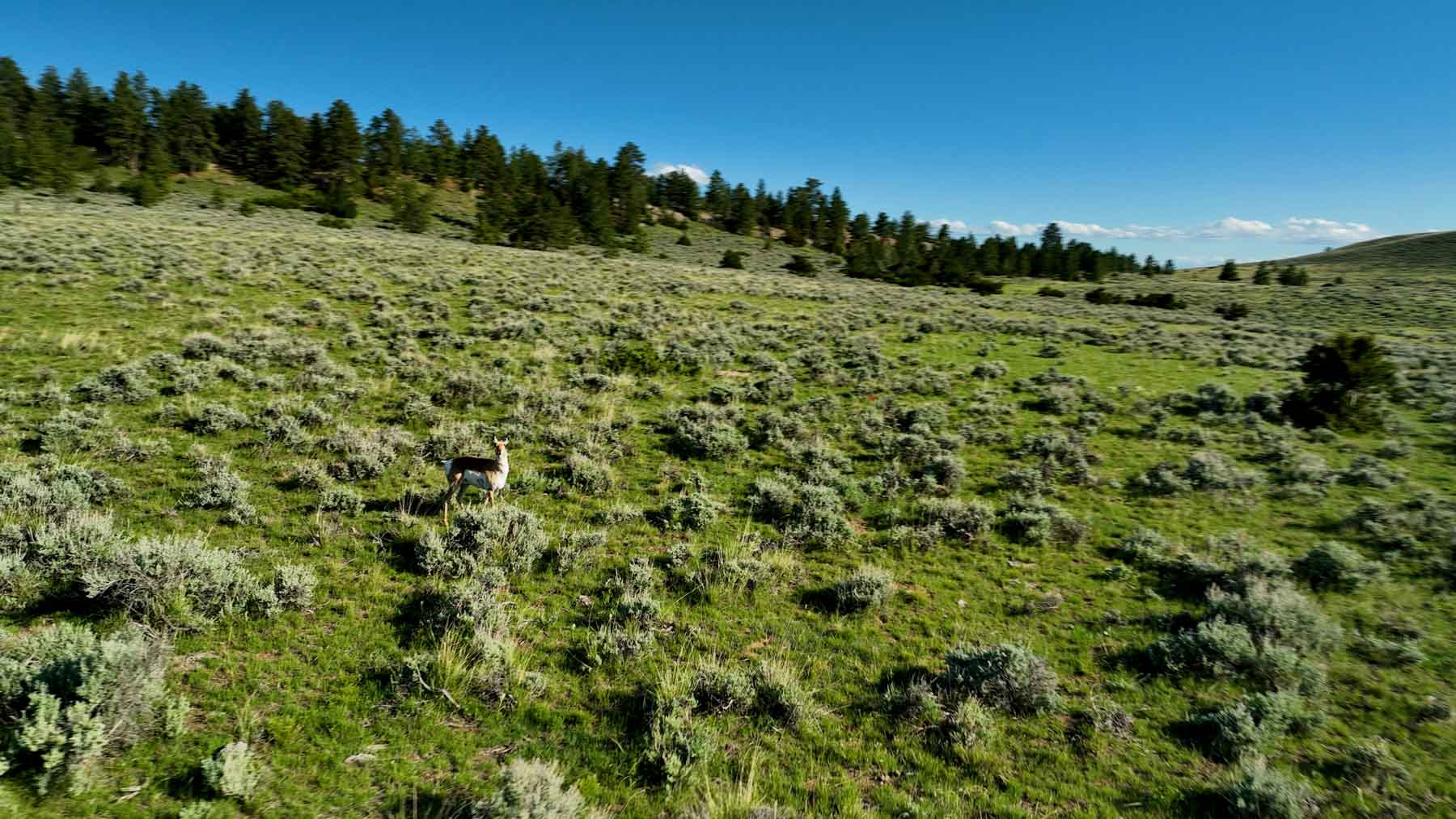 Cherry Springs Ranch property picture 55 of 59