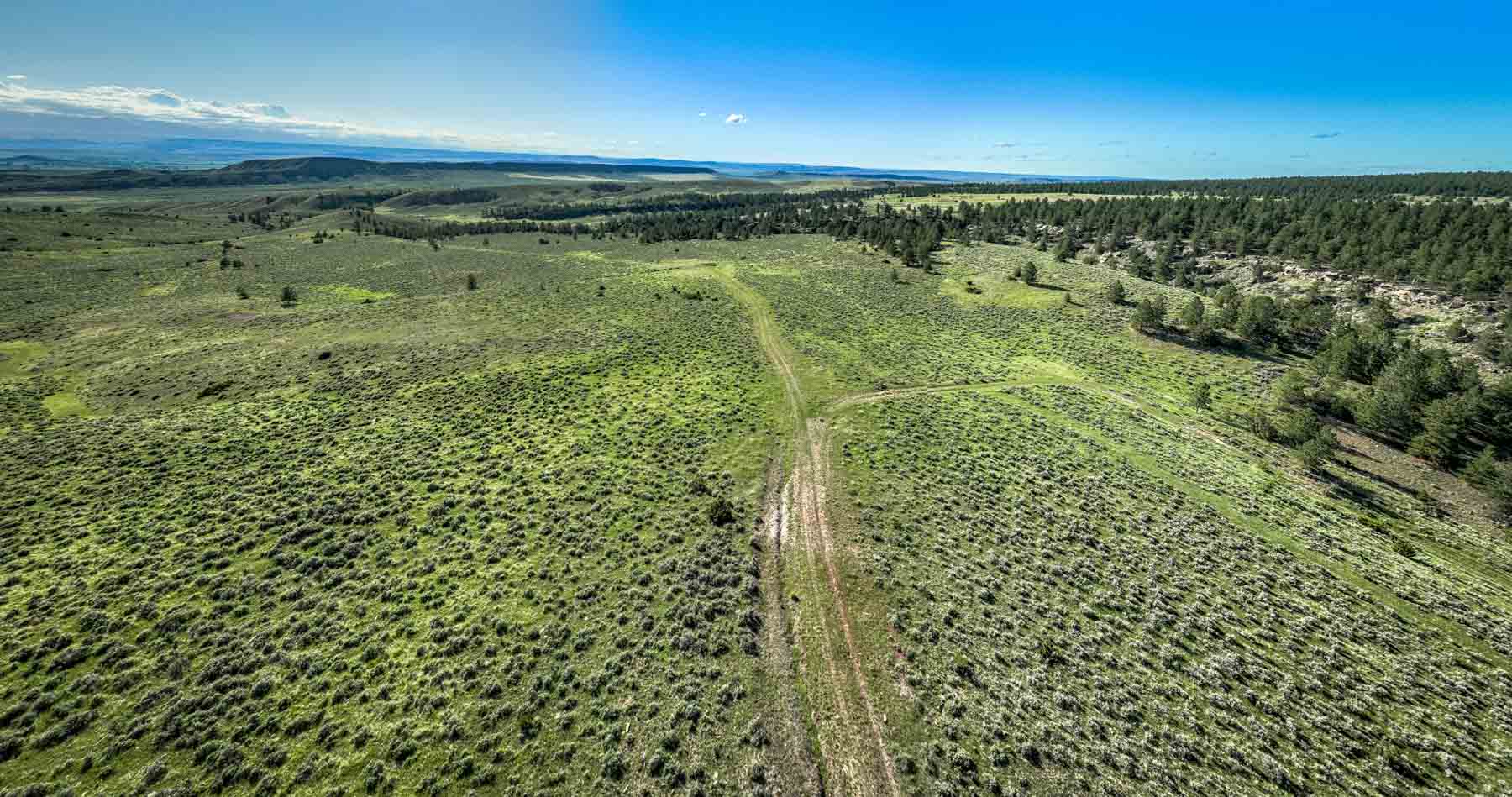 Cherry Springs Ranch property picture 12 of 59