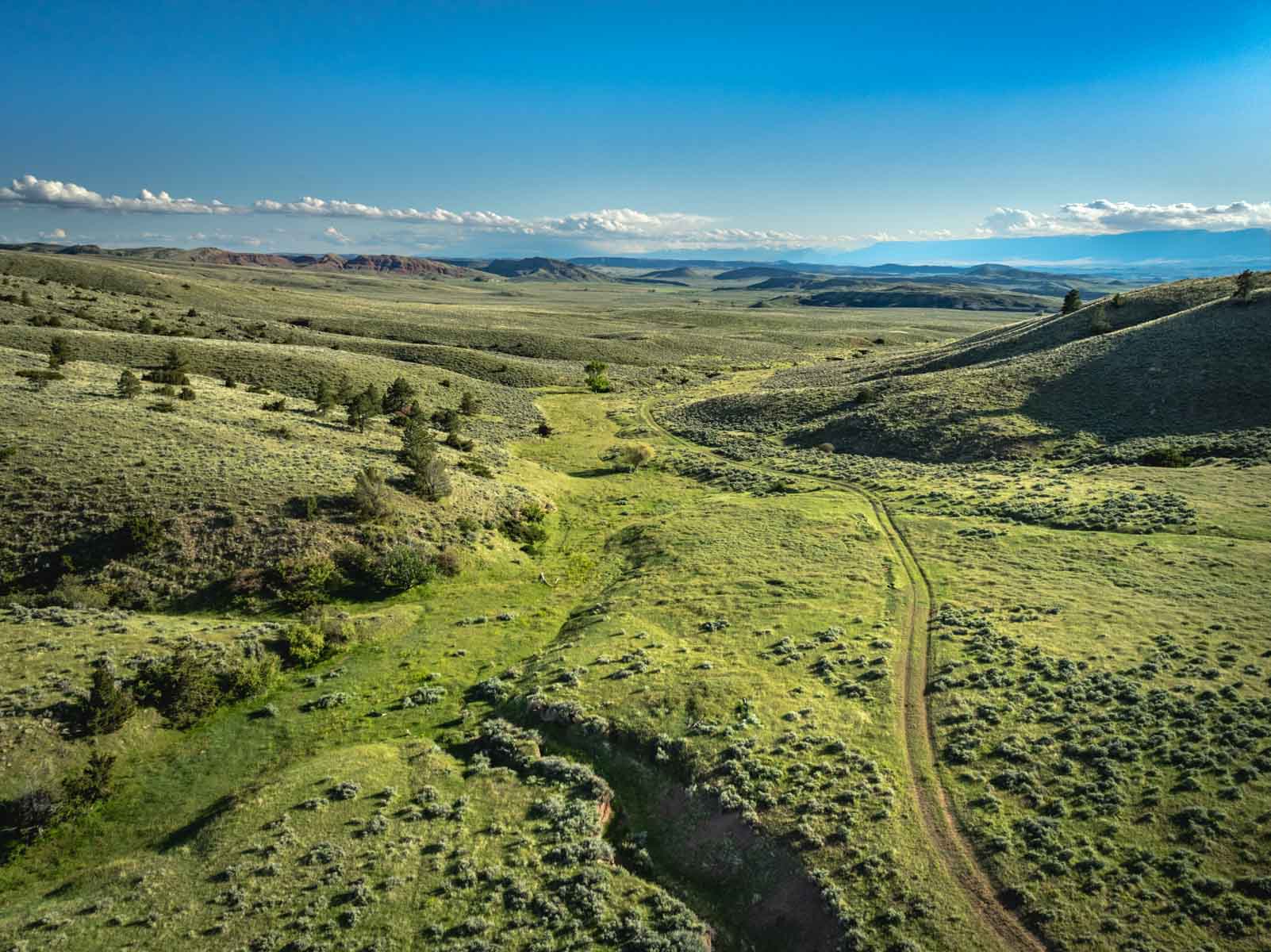 Cherry Springs Ranch property picture 14 of 59
