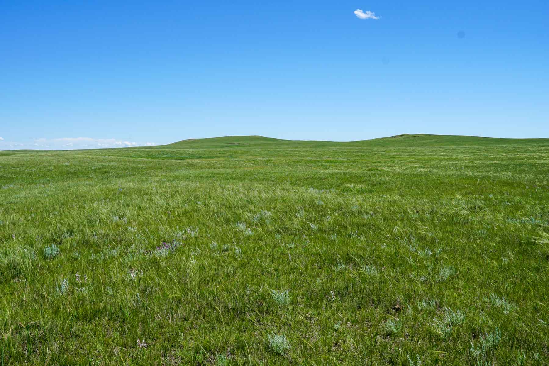 ZX Ranch property picture 44 of 82