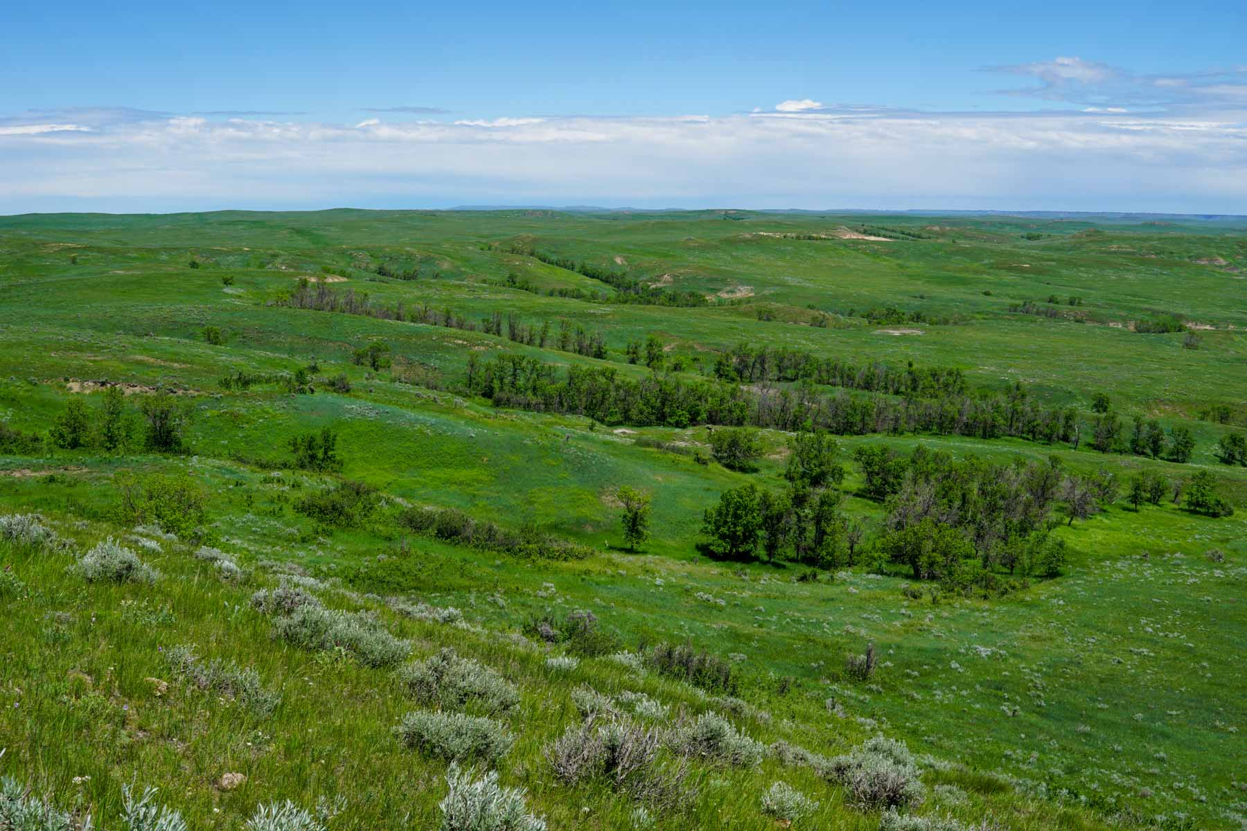 ZX Ranch property picture 15 of 82