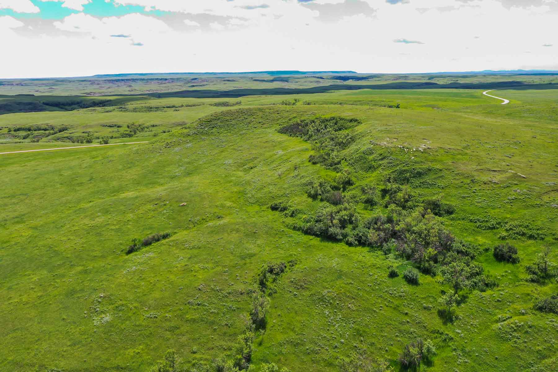 ZX Ranch property picture 70 of 82