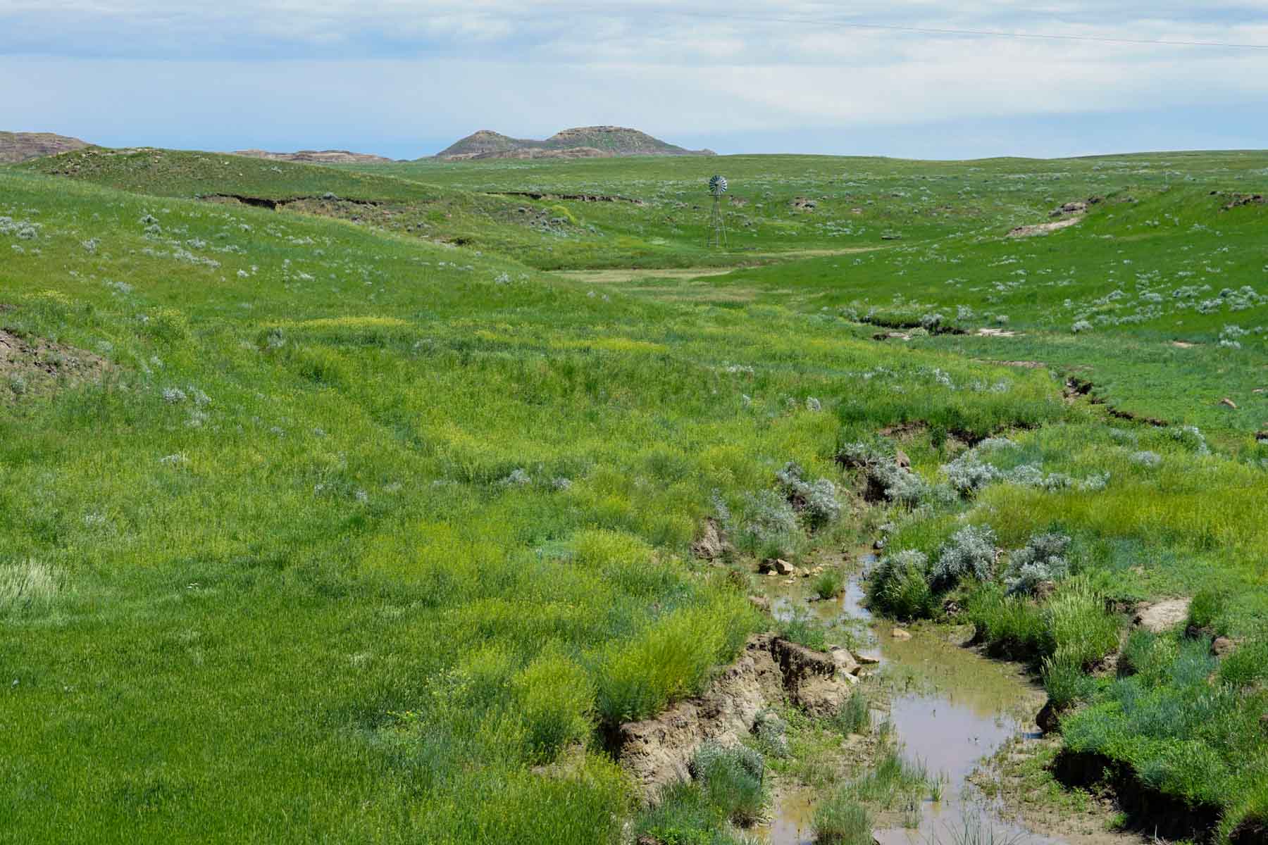 ZX Ranch property picture 12 of 82