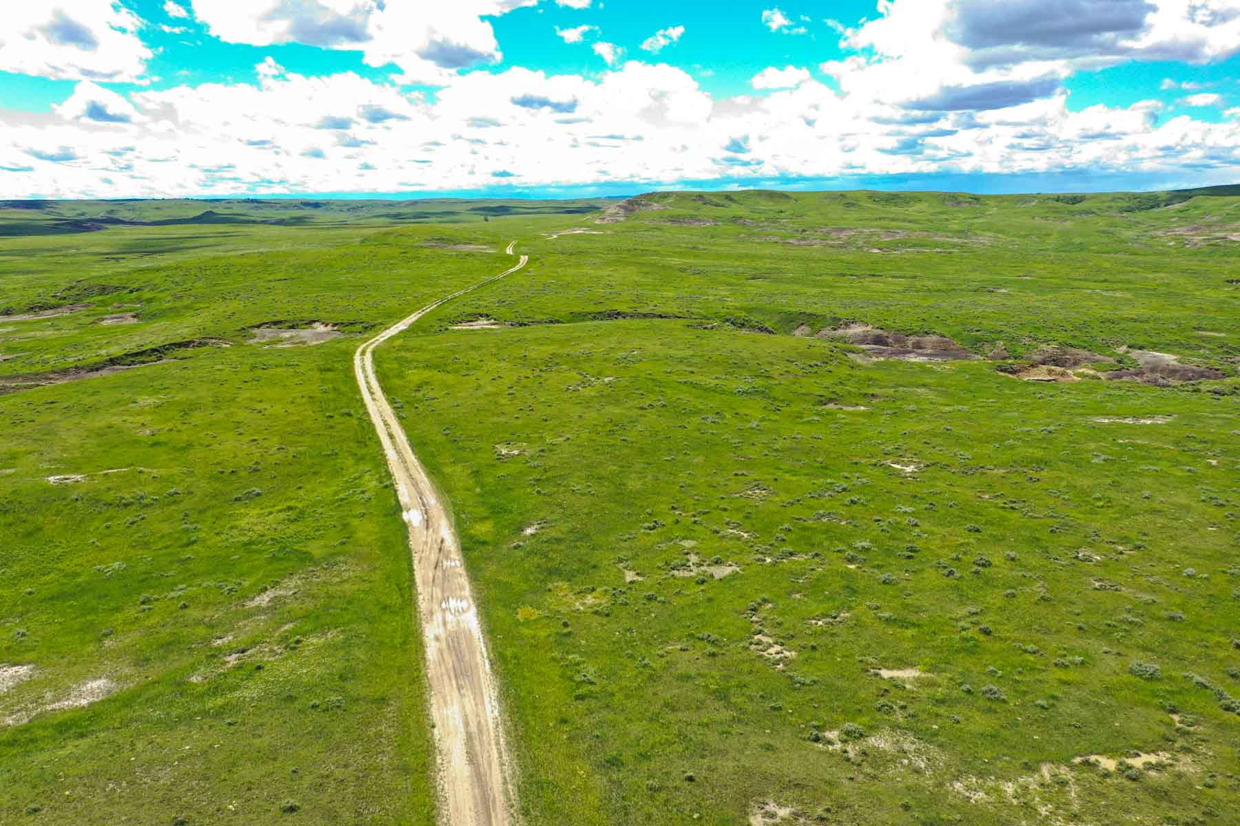 ZX Ranch property picture 60 of 82