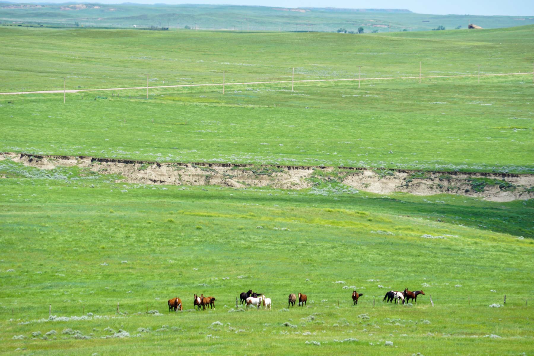 ZX Ranch property picture 75 of 82