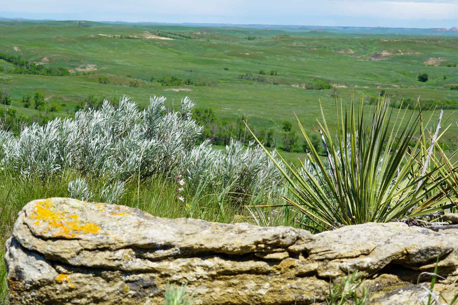 ZX Ranch property picture 14 of 82